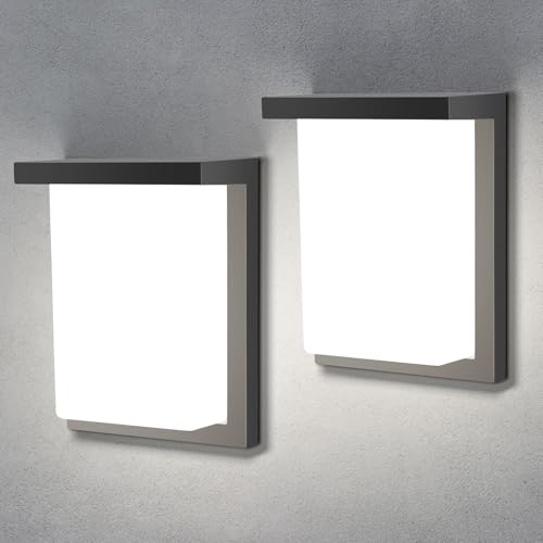 LED Outdoor Wall Porch Light 2 Pack