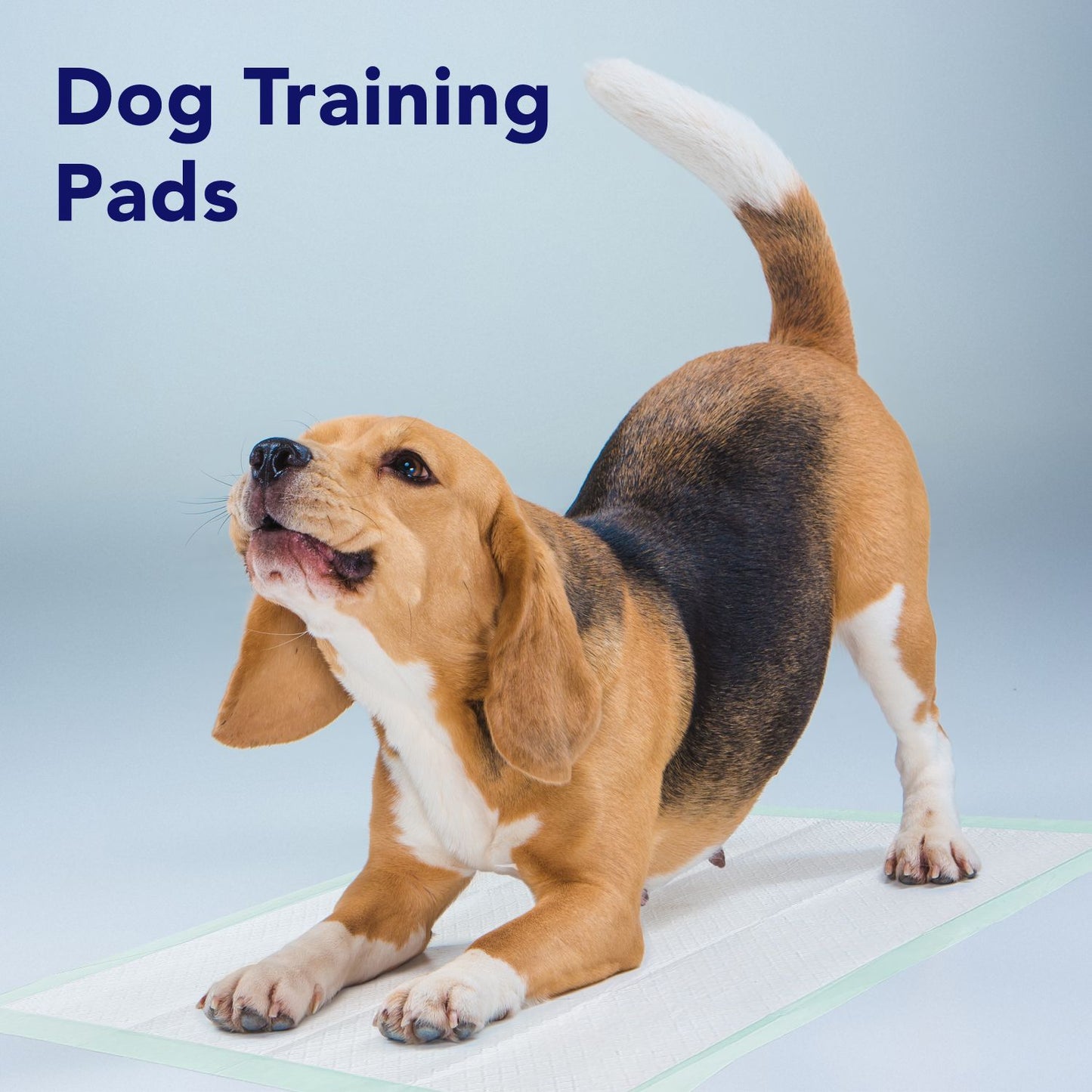 Premium Disposable Chucks Underpads 30" x 36"