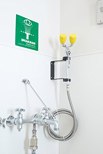 Eyesaver SEF-9000 Service Sink Eyewash Faucet