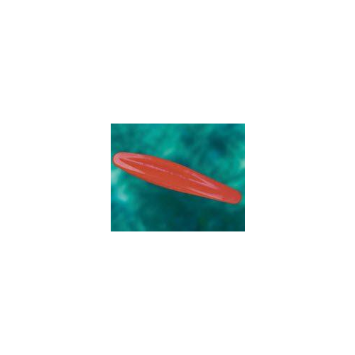Bite Stick Bite Block/Tongue Depressor - 50Ea/Bx